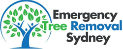 Emergency Tree Removal Sydney: Professional Tree Services, Removal, Tree Care & Arborist In Sydney, NSW